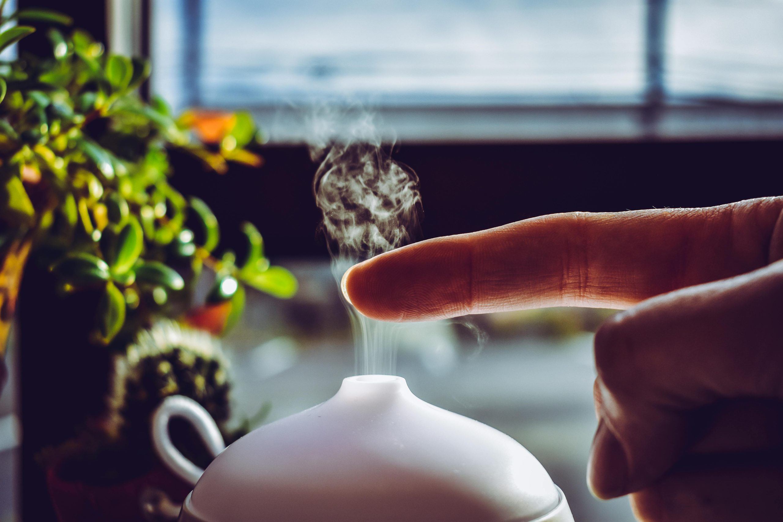 Creating Your Personal Sanctuary: Home as a Wellness Hub