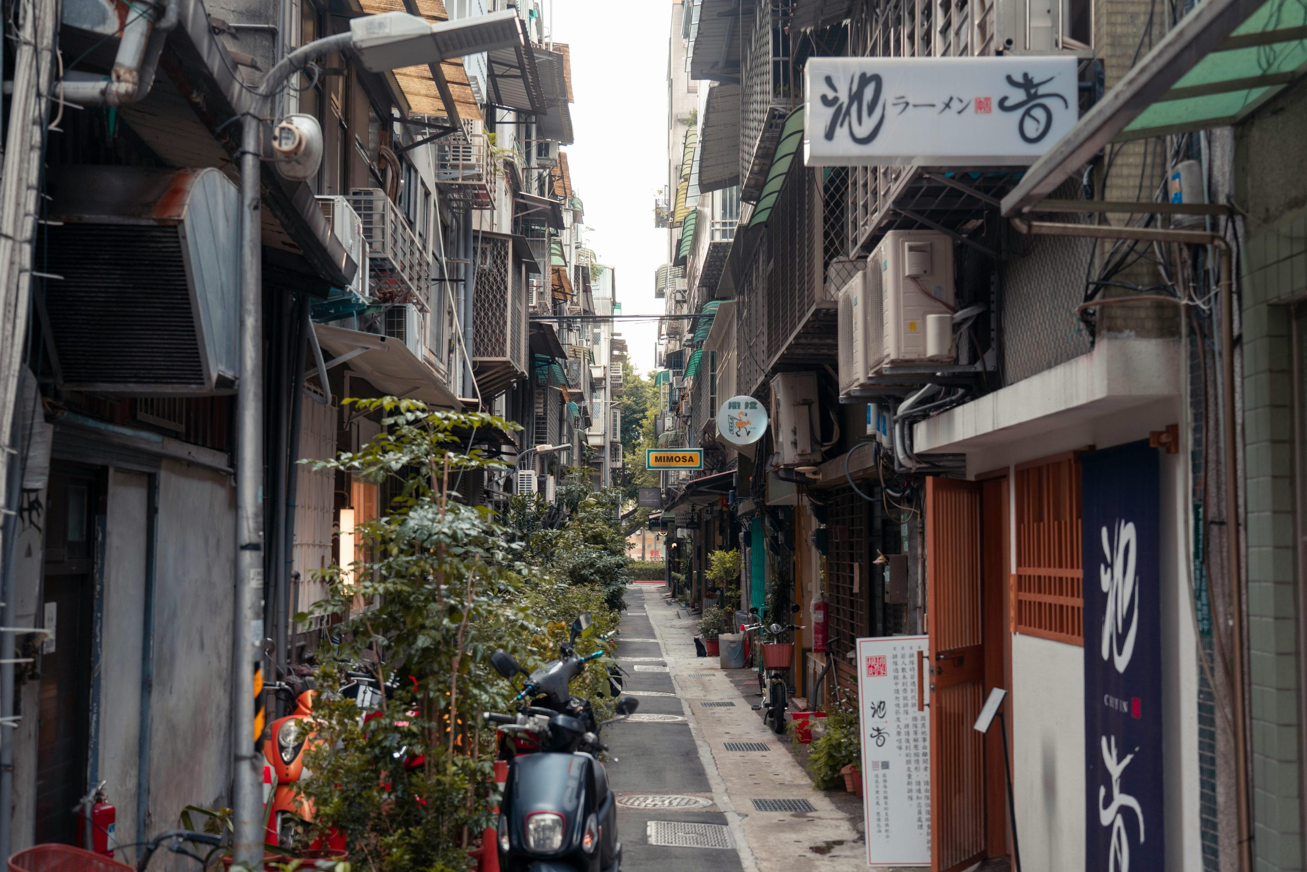 Discovering the Hidden Gems of Local, Sustainable Travel