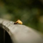 Developing a Growth Mindset for Continuous Personal Evolution