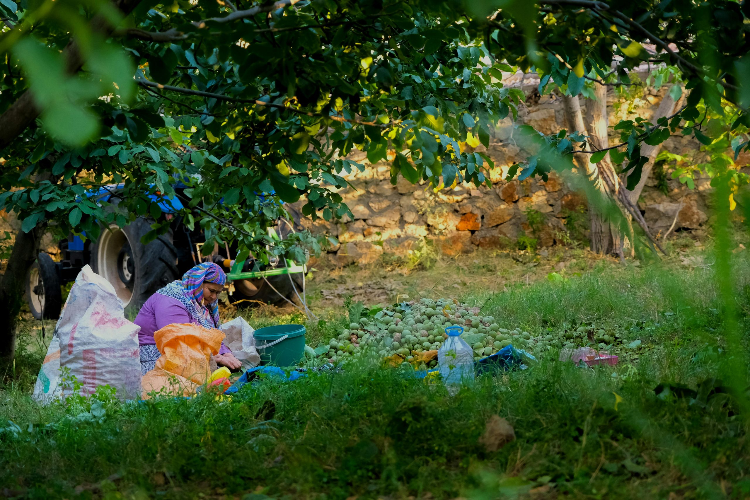 Understanding the Nuances of International Labor Laws and Ethics