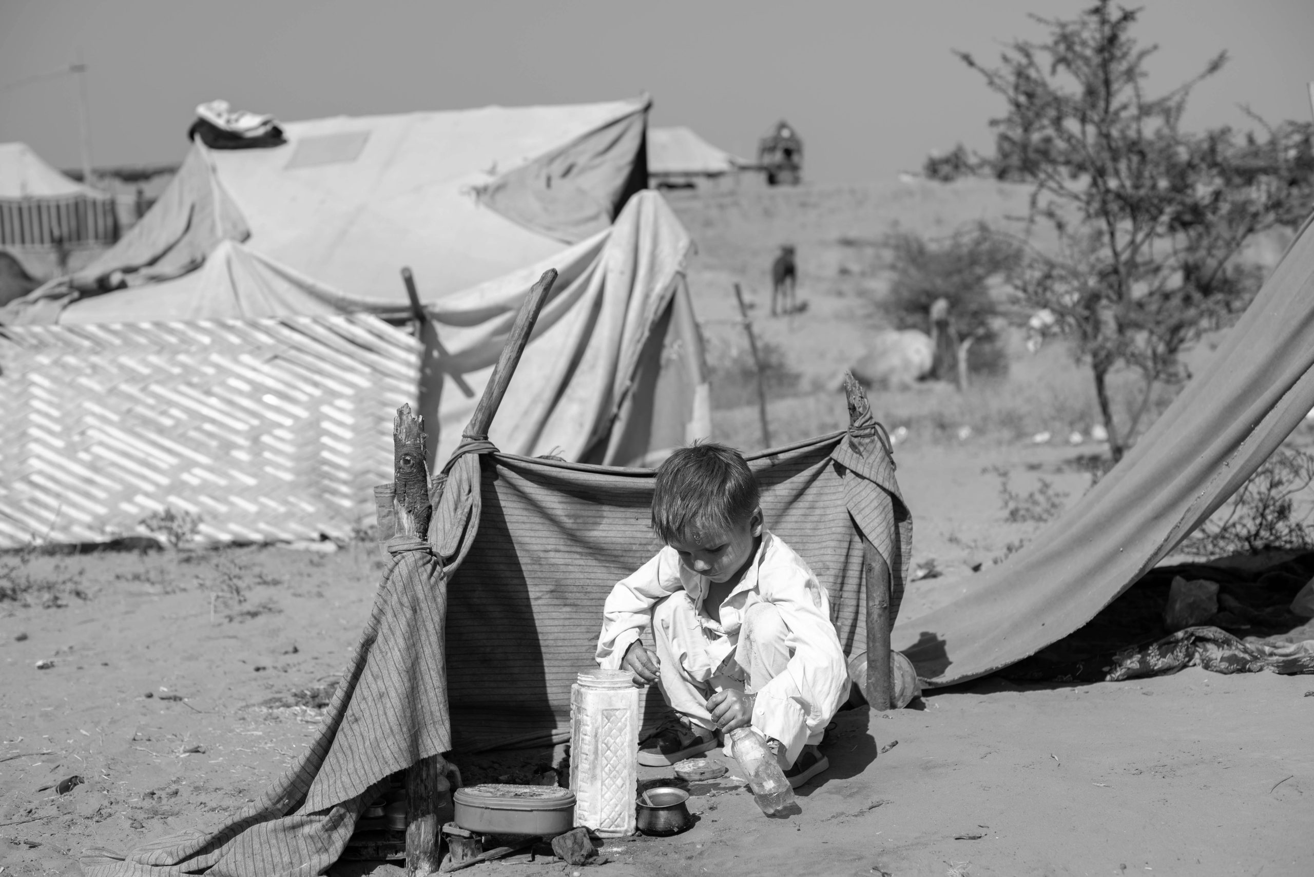 The Unexpected Joy Found in Simple, Daily Routines