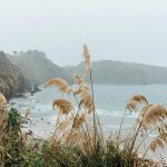 The Importance of Being Aware of Common Tourist Scams