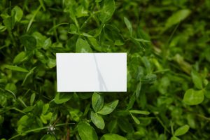 Exploring the Concept of Intrapreneurship Within a Large Company